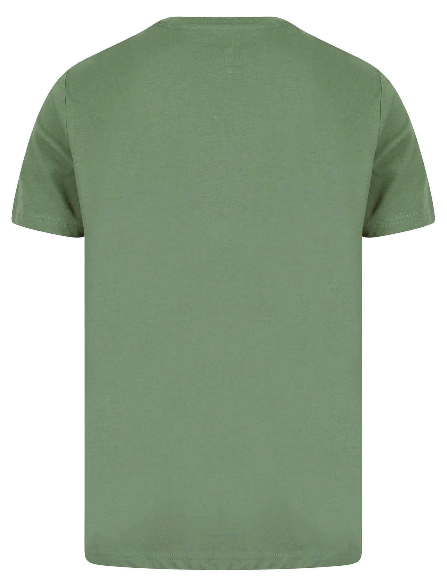 Premium Eagle Motif Cotton Jersey T-Shirt in Sea Spray Green - South Shore